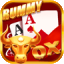 yolo rummy apk